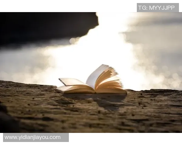 上海排球队的阵地战解析：深度剖析战术与团队协作的成功之道